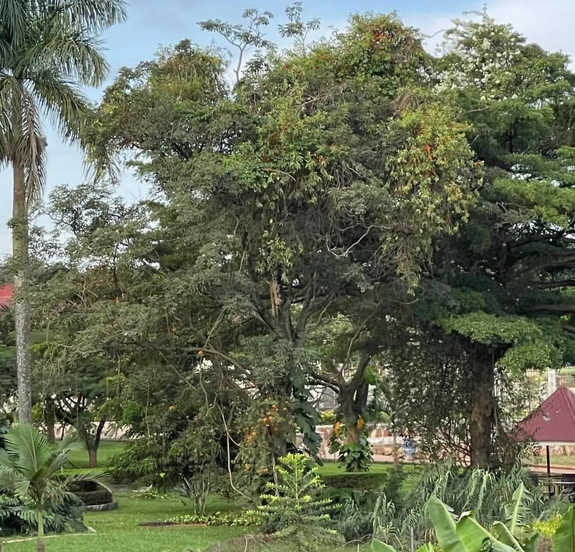Modest Spacious Apartment Kampala